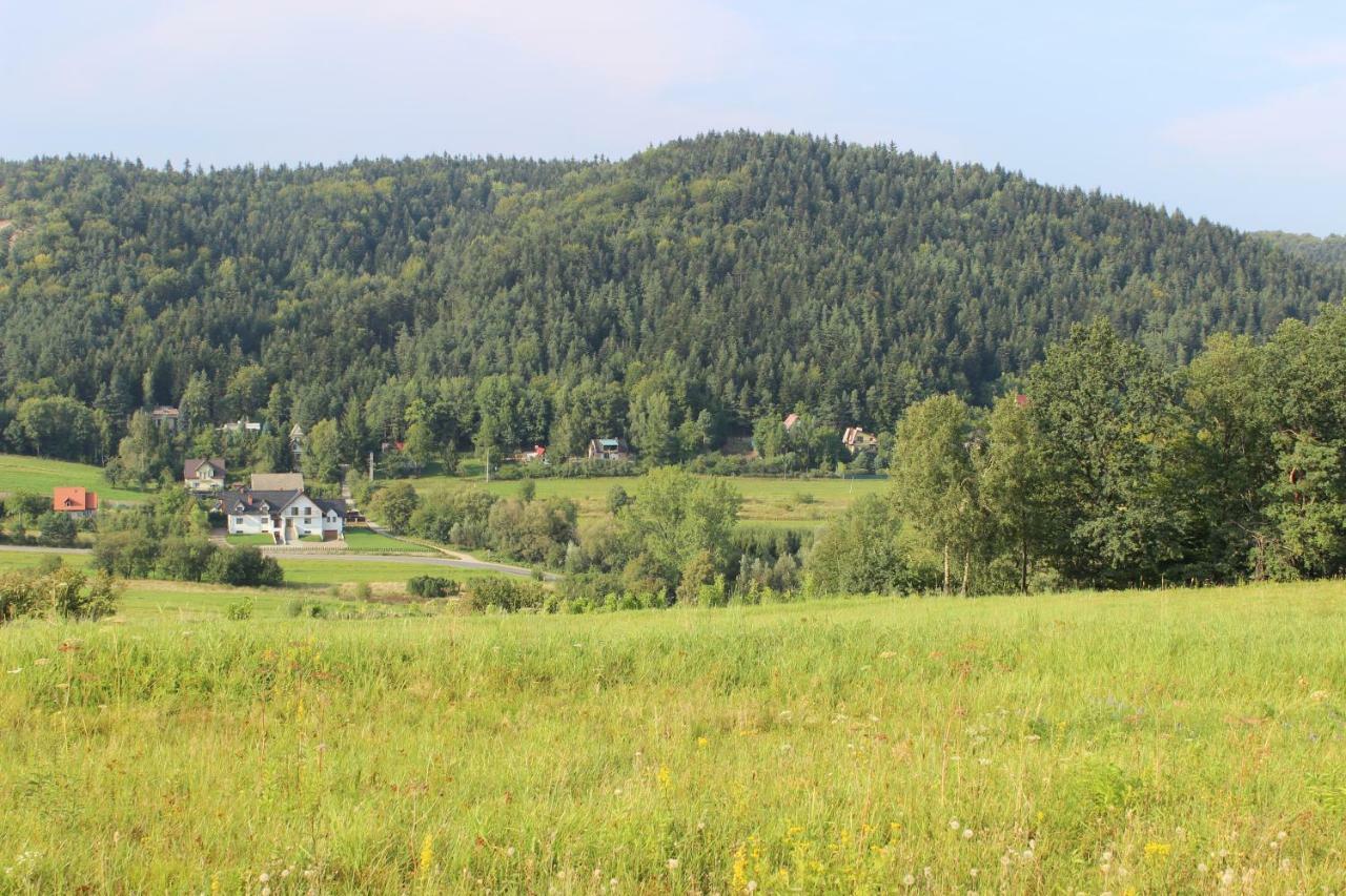Villa Dwor Bysina Myślenice Exterior foto